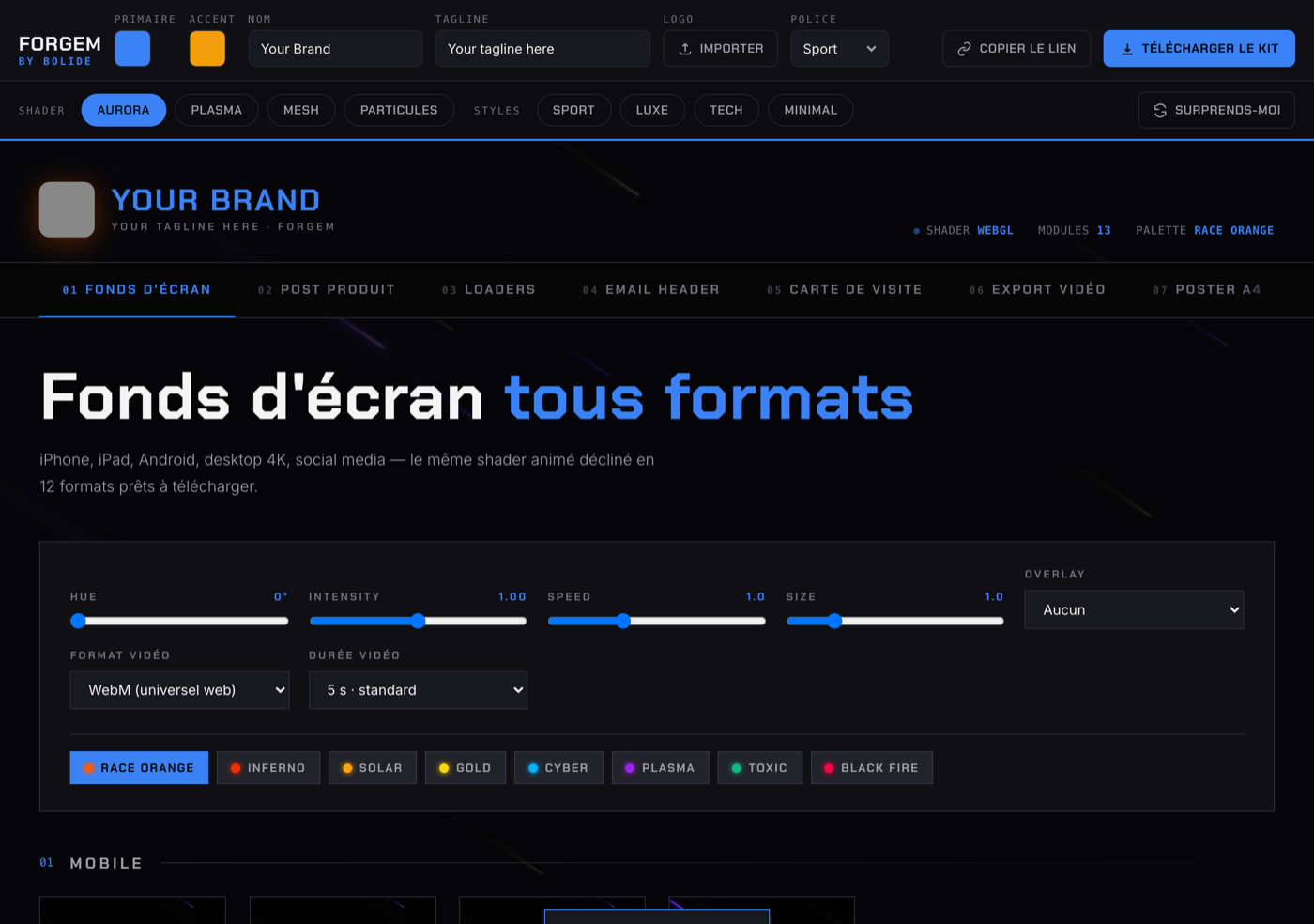 Interface Forgem en production : générateur de kit de marque, 13 modules